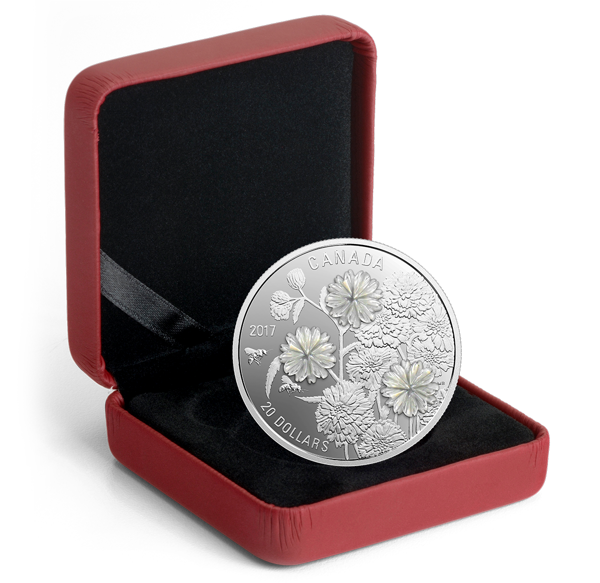 157047_pkg-1198.png?hash=