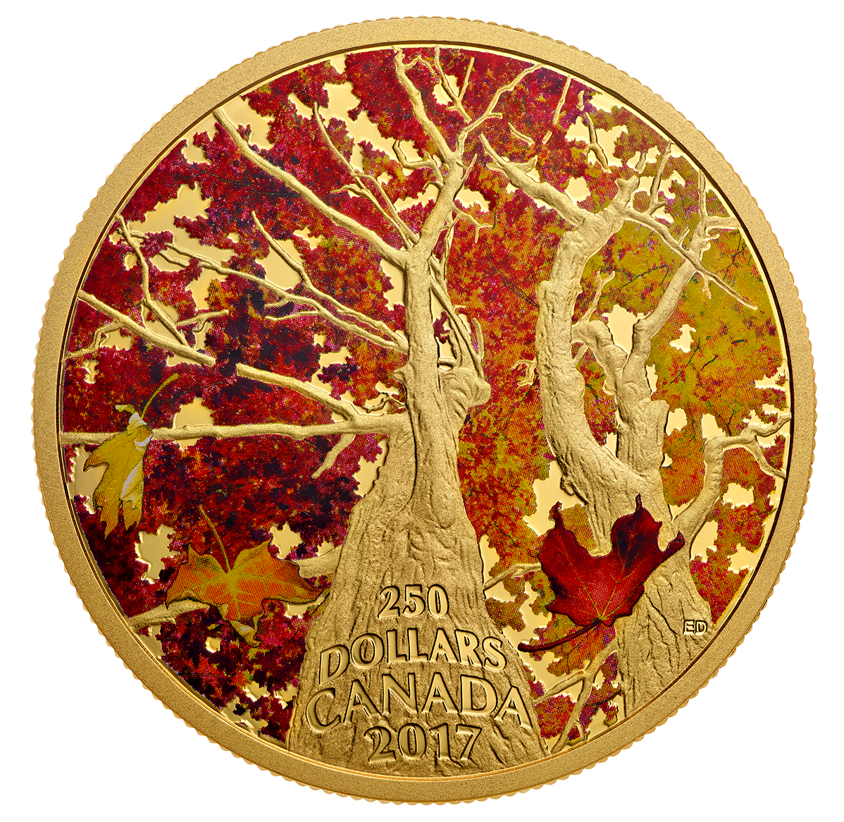2 oz. Pure Gold Coloured Coin - Maple Canopy: Kaleidoscope of