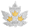 1 oz. Pure Silver Gold-Plated Coin - Gilded Silver Maple Leaf (2017)