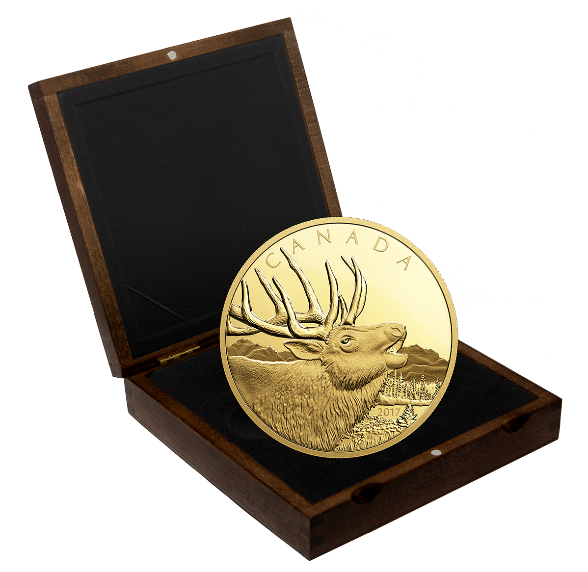 1/2 Kilogram Pure Gold Coin - Elk - Mintage: 25 (2017) | The Royal