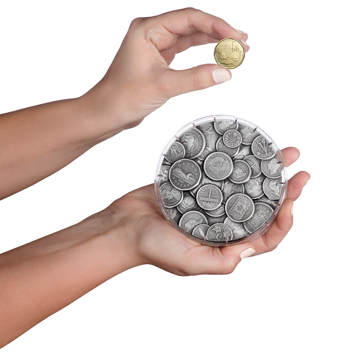 158118_hand-1198.png?hash=