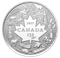 Pure Silver Coin – Heart of Our Nation (2017)