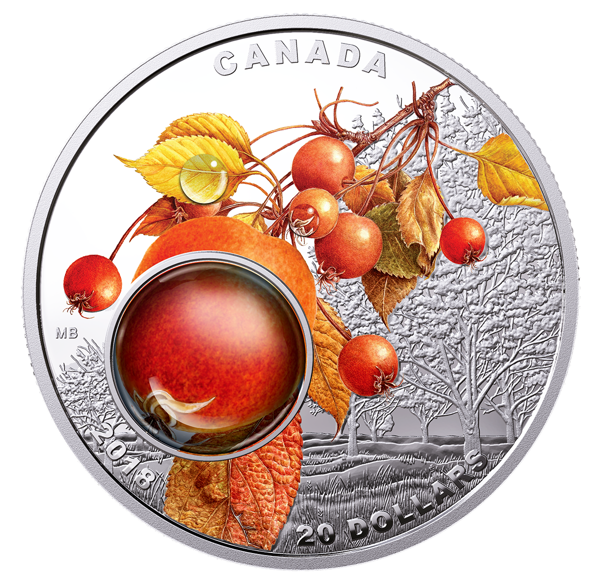 162163_rev-1198.png?hash=