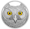 Pure Silver Glow-in-the-Dark Coin - In The Eyes Of The Great Horned Owl