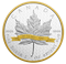 Pièce de 2 oz en argent pur avec placage d'or - La FÉA fête ses 30 ans - Tirage : 6 000 (2018)
