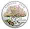Pure Silver Coloured Coin - Celebration of Spring: Apple Blossoms