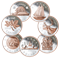 Série Pièces de grande taille 2018 - Abonnement à la série de sept pièces de 5 oz en argent pur