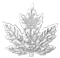 Pièce de 1 oz en argent pur – 30e anniversaire de la Feuille d’érable en argent – Tirage : 6 000 (20