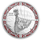 Pièce colorée de 1 oz en argent pur - Navires vikings : L’odyssée des Vikings