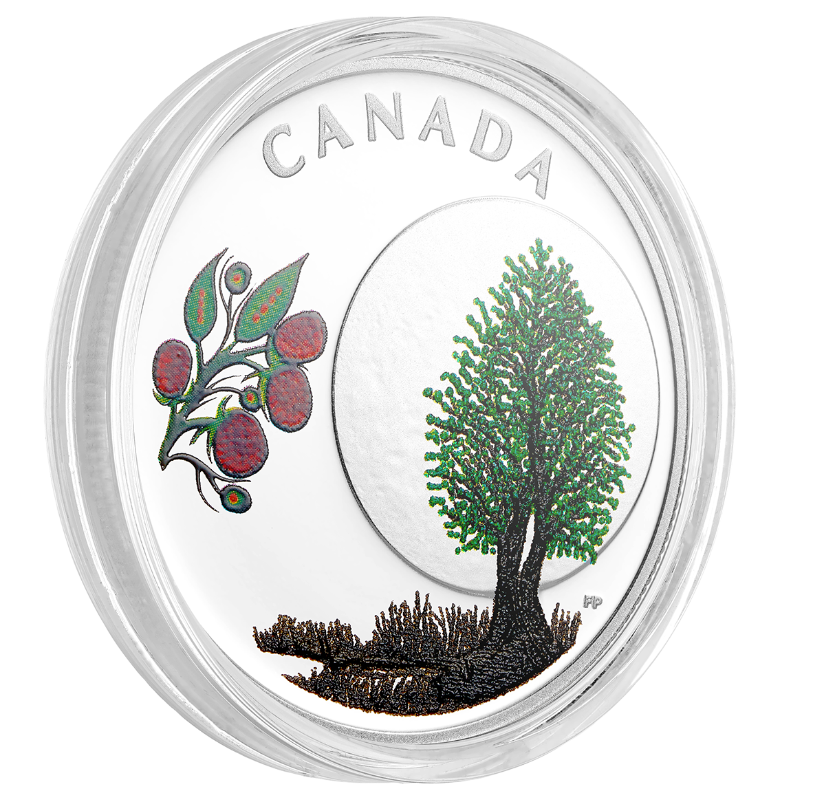 Pure Silver Coloured Coin - Thirteen Teachings From Grandmother