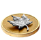 1 oz. Pure Gold Coin- 30th Anniversary of the Silver Maple Leaf