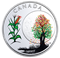 Pure Silver Coloured Coin - Thirteen Teachings From Grandmother Moon: Corn Moon