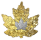 Pièce de 1 oz en or pur avec placage de platine - 30e anniversaire de la Feuille d’érable en platine