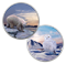 Arctic Animals and Northern Lights - 2 oz. Pure Silver Glow-in-the-Dark 2-Coin Subscription