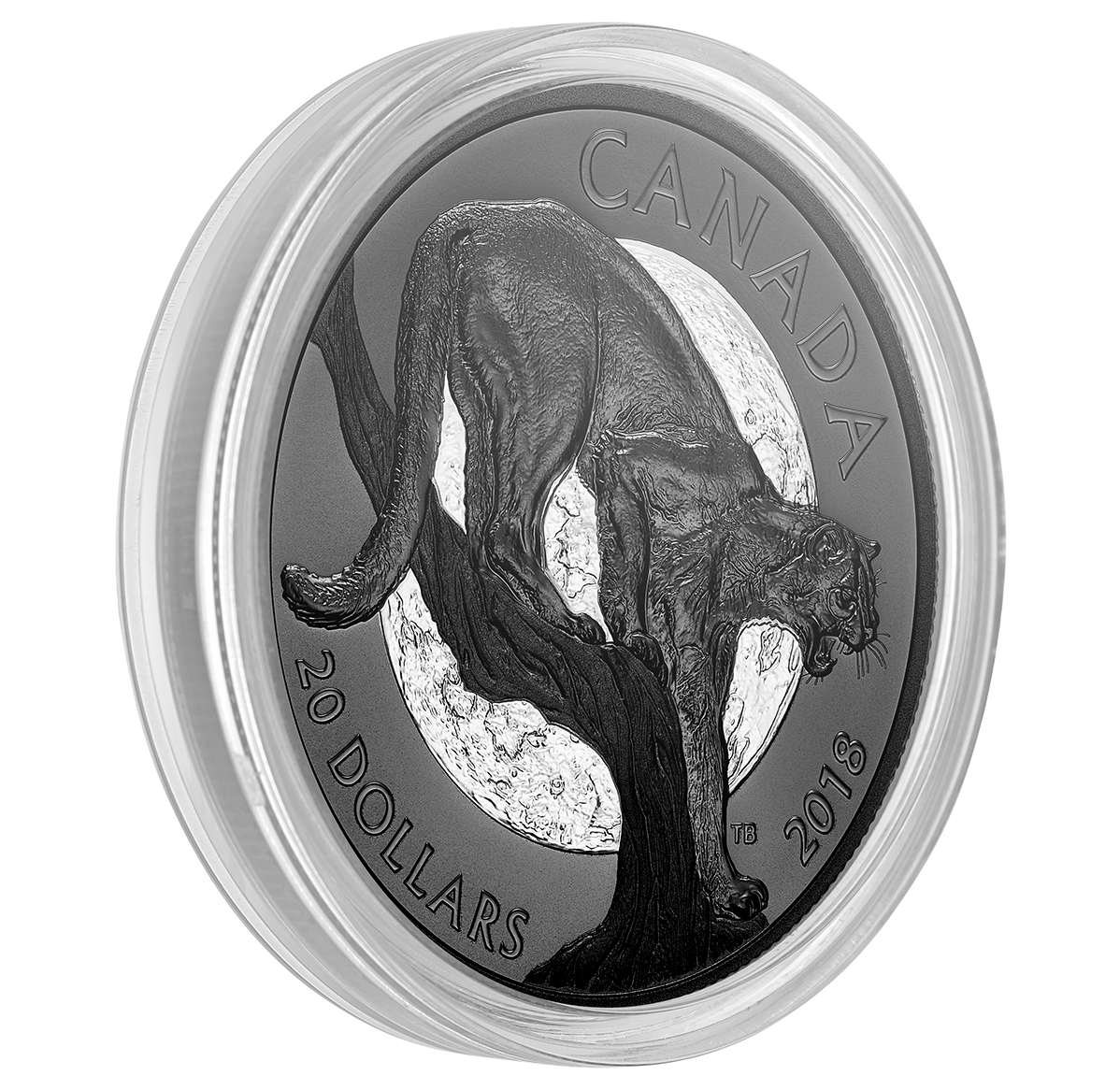 1 oz. Pure Silver Coin - Nocturnal by Nature: The Cunning Cougar