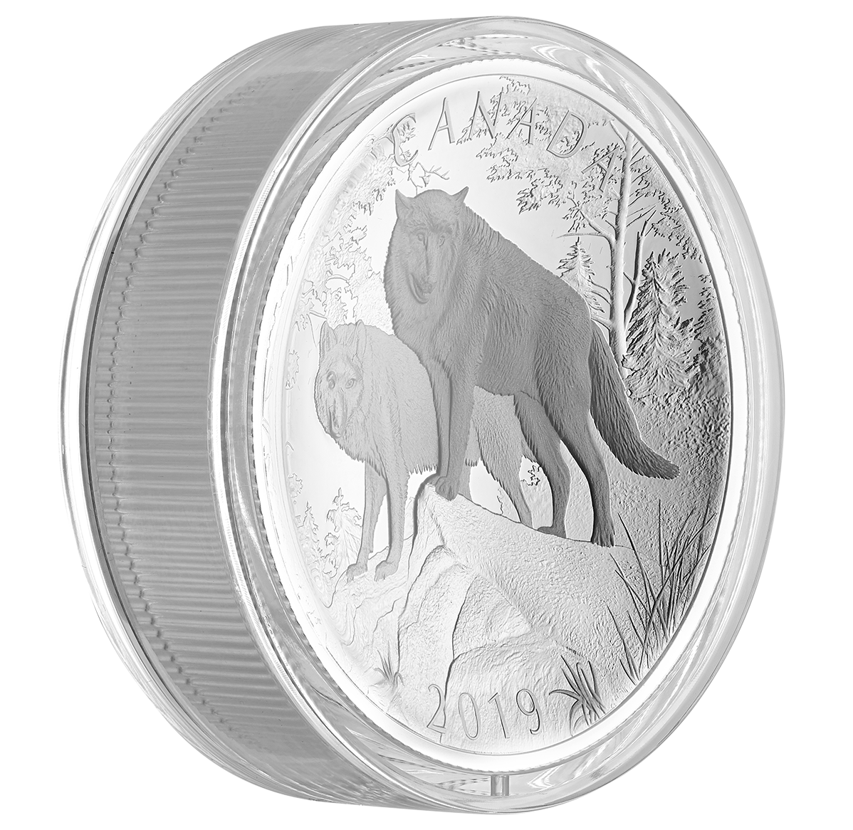 カジマルSILVER WOLF カジマル様専用SILVER WOLF