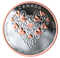2019 Best Wishes On Your Wedding Day - 1 oz. Pure Silver Coin with Pink Gold Plating