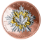 Pièce en argent pur avec placage d'or - Feuilles d'érable dans le vent