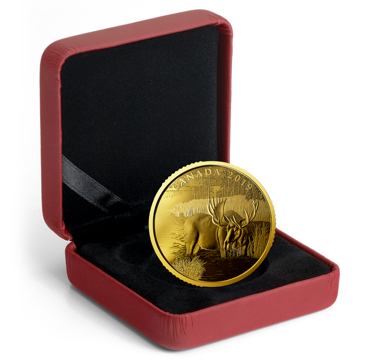 1 oz. 99.999% Pure Gold Coin - Canadian Moose - Mintage: 400 (2019