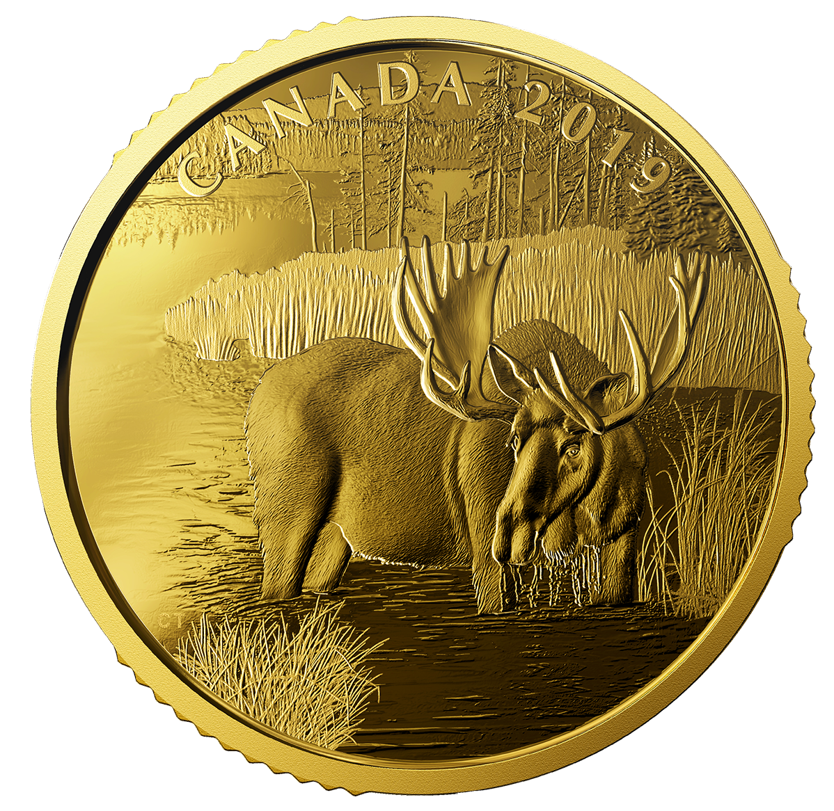 1 oz. 99.999% Pure Gold Coin - Canadian Moose - Mintage: 400 (2019
