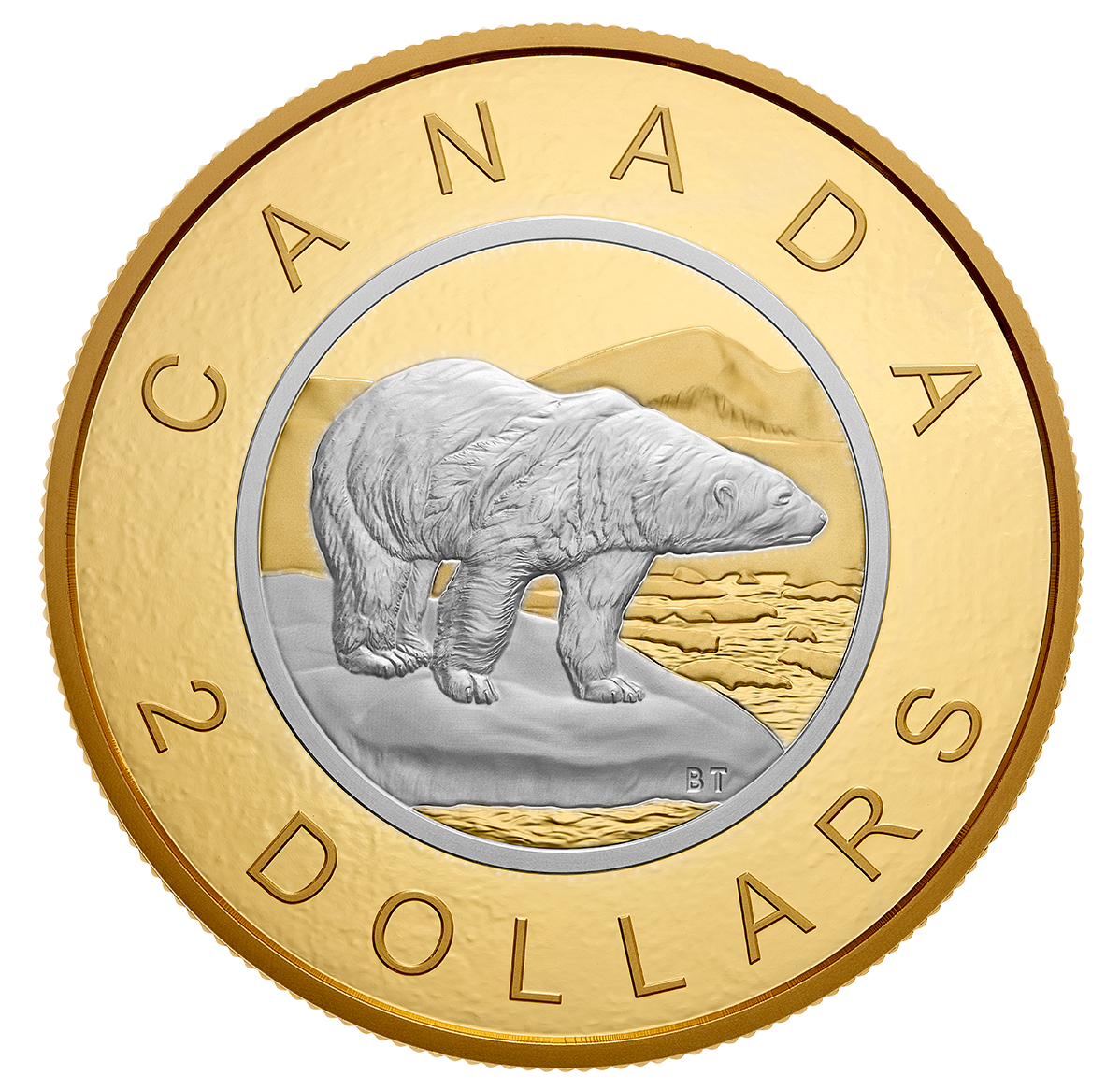 5 oz. Pure Silver ReverseGold Plating Coin Big Coin Series 2Dollar The Royal Canadian Mint