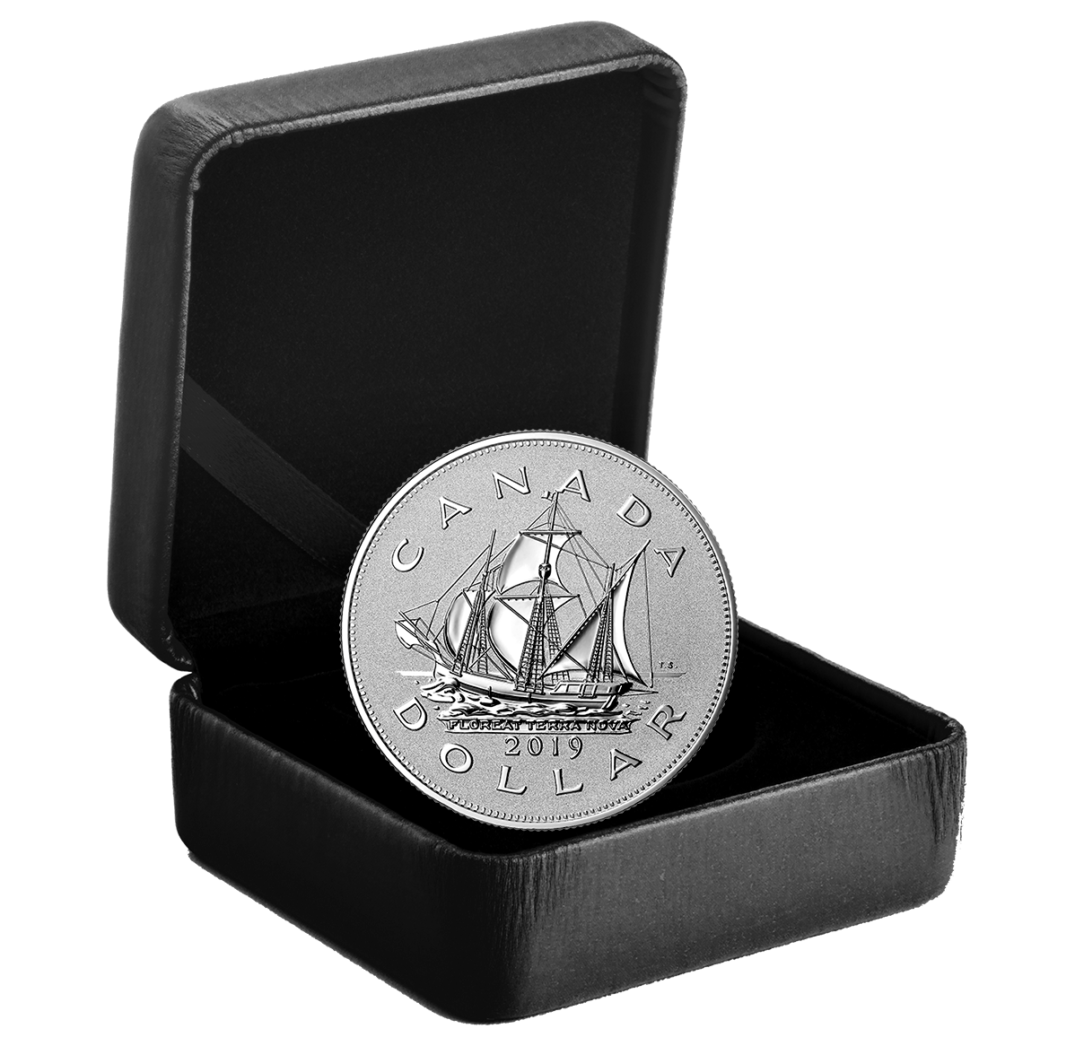 Pure Silver Piedfort Coin 2019 | The Royal Canadian Mint