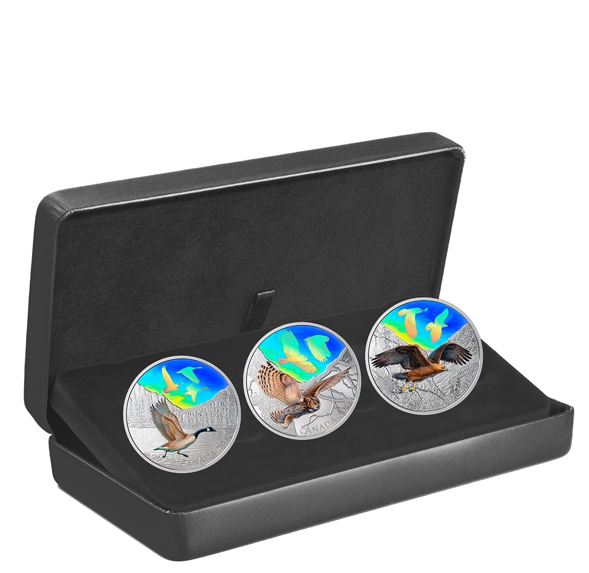 Majestic Birds in Motion - 2 oz. Pure Silver Hologram 3-Coin Subscription