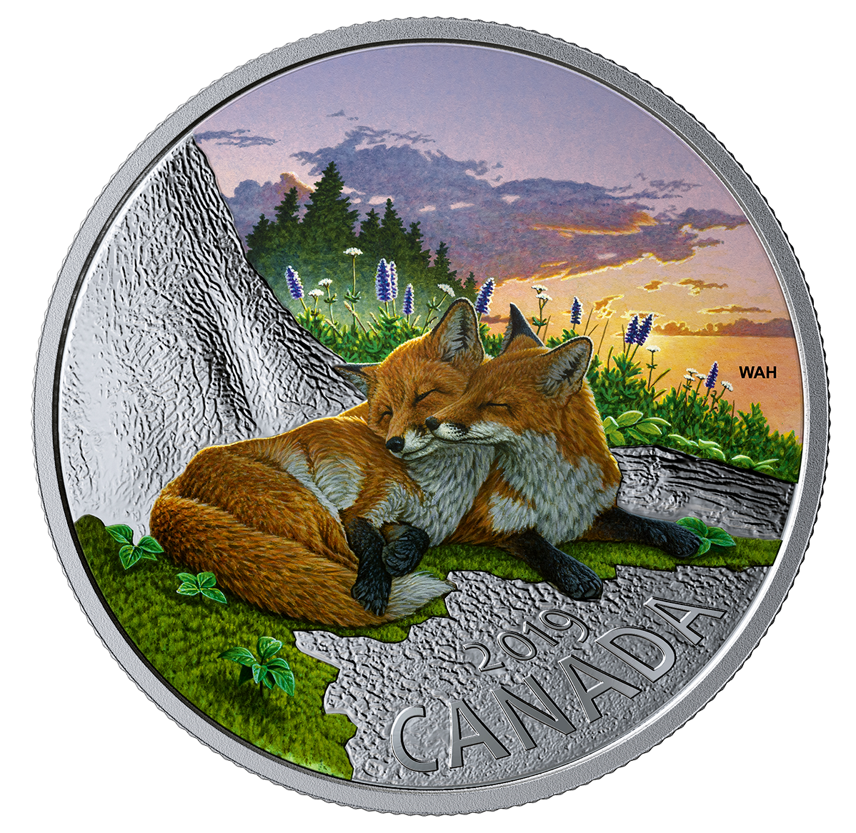 1 oz. Pure Silver Coloured Coin - The Fox: Canadian Fauna