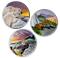 Abonnement à la série de trois pièces colorées de 1 oz en argent pur - Faune canadienne