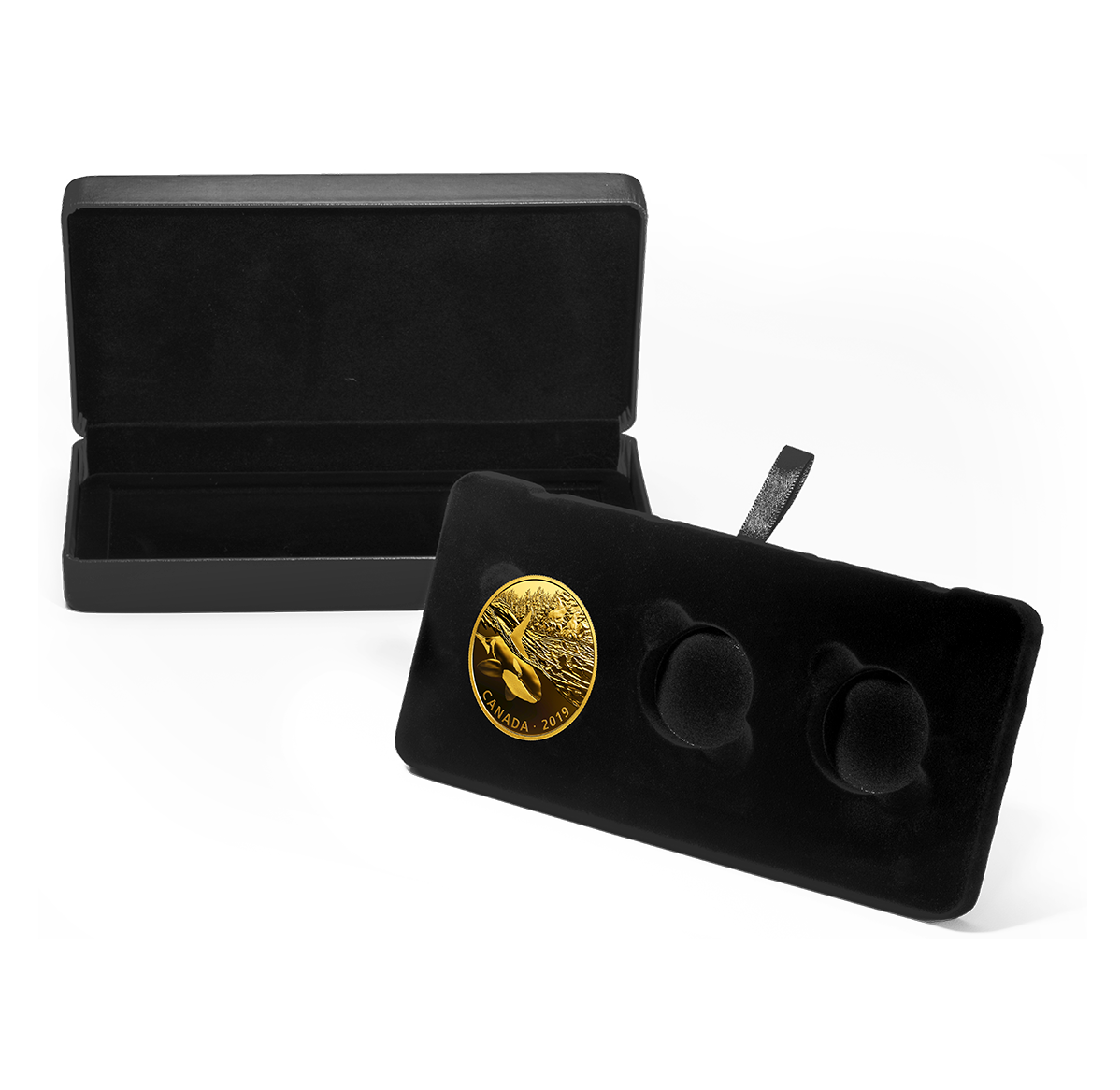 Golden Reflections: Predator and Prey - 2 oz. Pure Silver Gold
