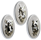 Abonnement à la série de 3 pièces de 1 oz en argent pur au relief exceptionnel - Têtes d'animal à multiples facettes