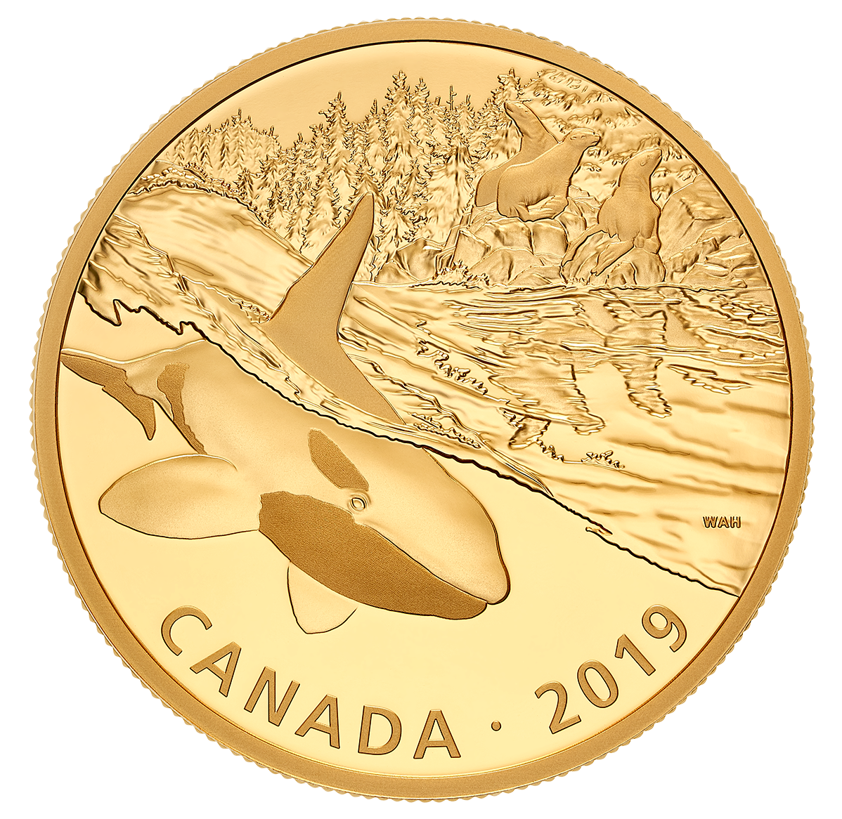 2 Oz Pure Silver Gold Plated Coin Golden Reflections Predator And 2 Oz Pure Silver Gold Plated Coin Golden Reflections Predator And