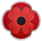 Pure Silver Coloured Coin - Remembrance Day (2019)