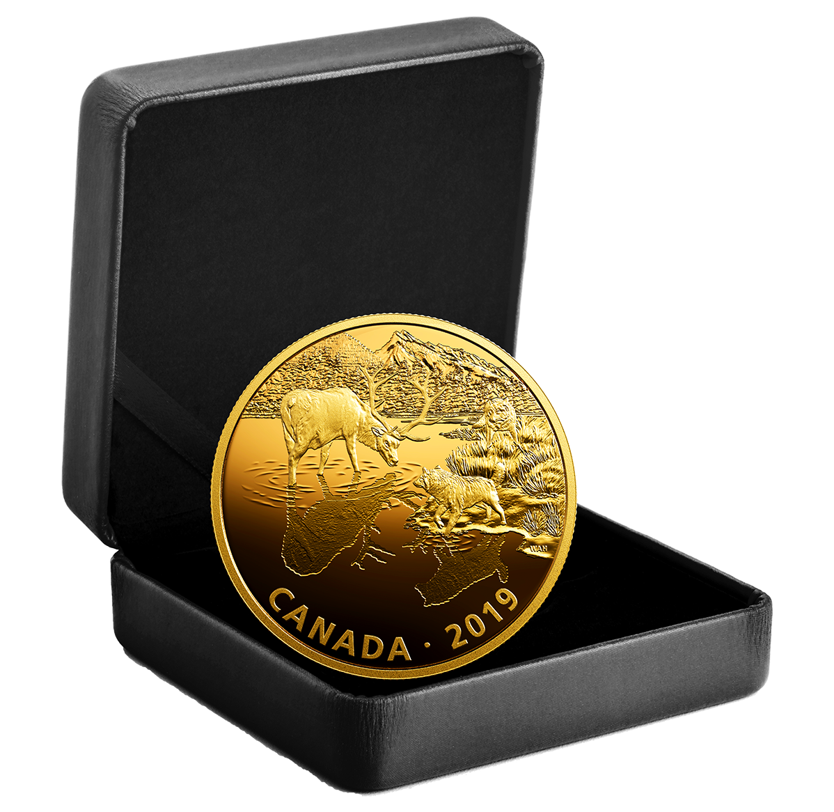 2 oz. Pure Silver Gold-Plated Coin - Golden Reflections - Predator and Prey: Wolves and Elk
