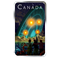 Pièce photoluminescente de 1 oz en argent pur - Mystères en terre canadienne : L'incident de Shag Harbour 