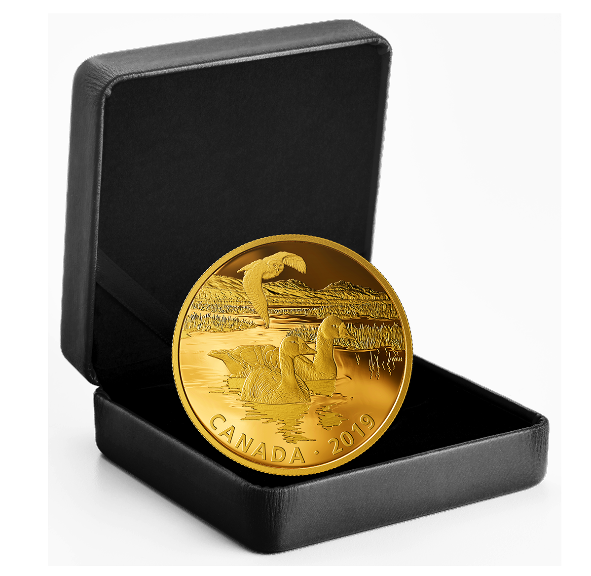 高城剛氏 NEXTRAVELER DAILY COIN AND CARD 1.2 高城剛氏 NEXTRAVELER DAILY COIN AND CARD 1.2 高城剛企画