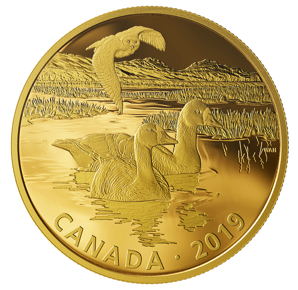 2 oz. Pure Silver Gold-Plated Coin - Golden Reflections - Predator and Prey: Snowy Owl and Greater White-fronted Geese