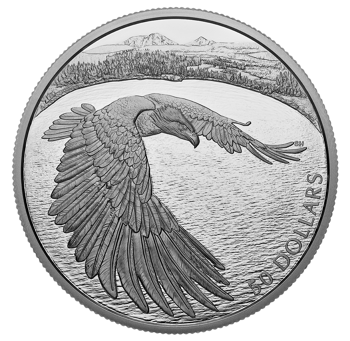 176924_rev-1198.png?hash=
