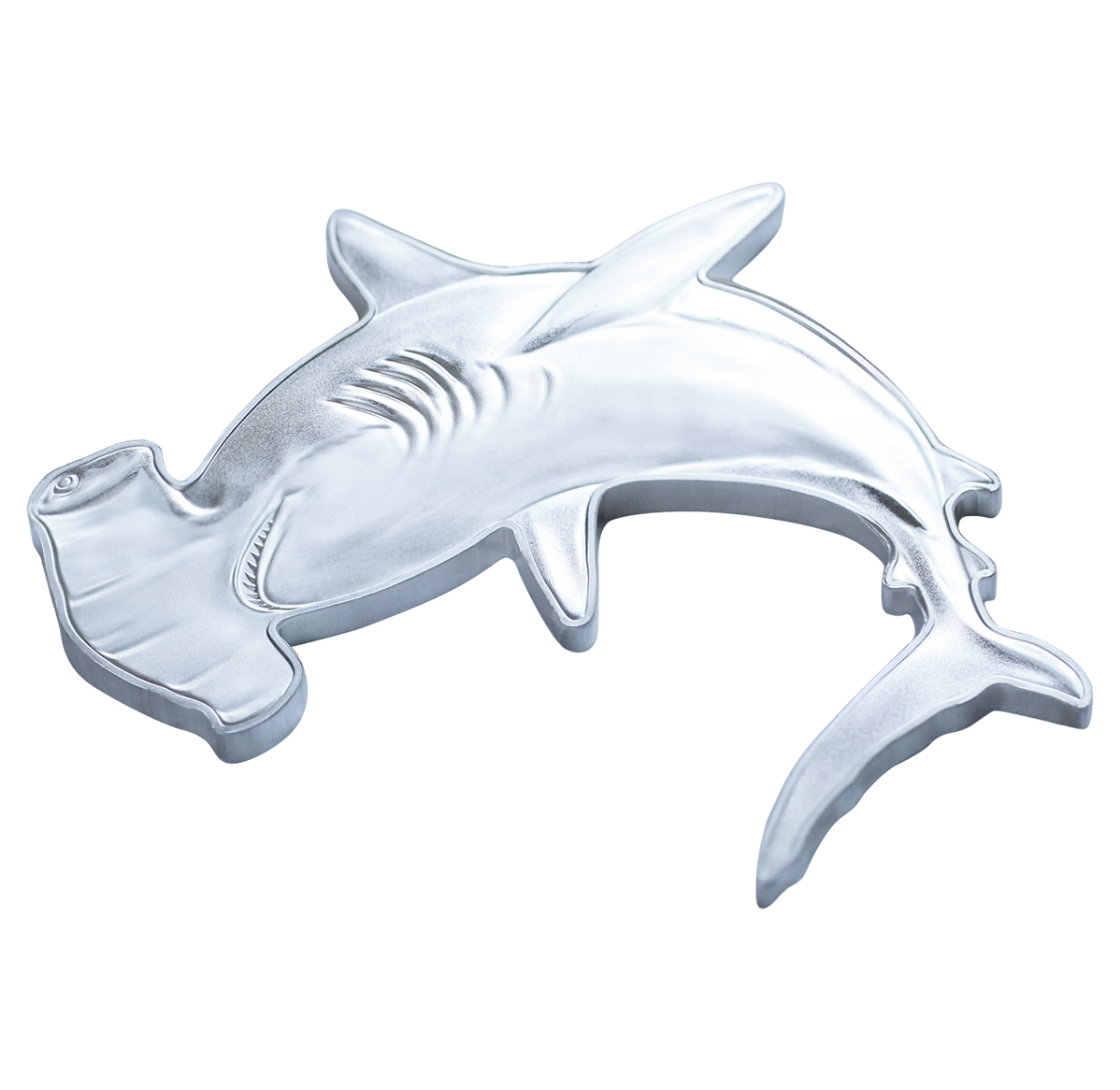 邦楽 Hammer Head Shark Hammer Head Shark - MARINE LIFE PHUKET