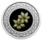 Pièce colorée en argent pur – Emblèmes floraux du Canada – Colombie-Britannique : Cornouiller de Nut
