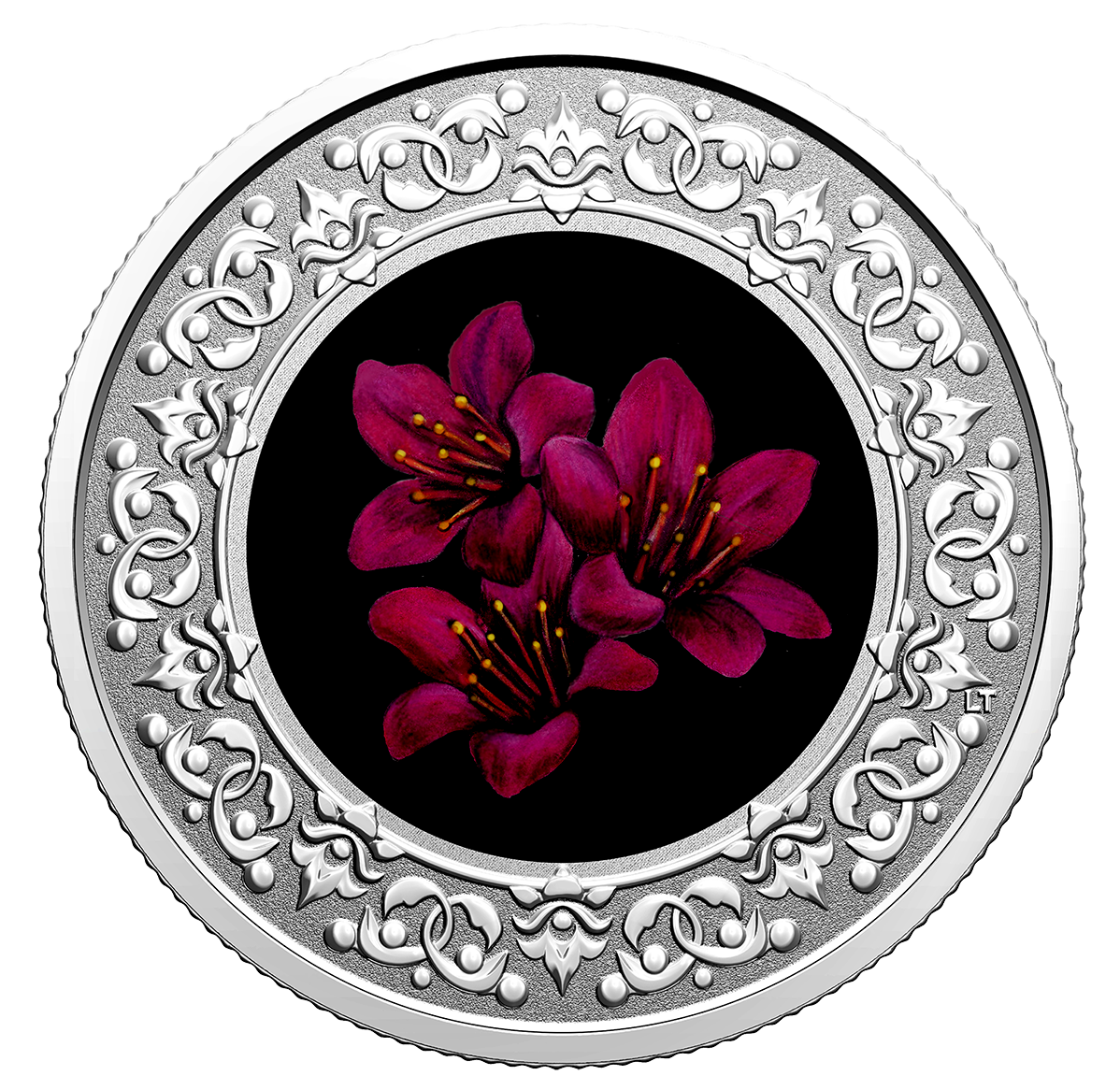 Pure Silver Coloured Coin – Purple Saxifrage: Floral Emblems of Pure Silver Coloured Coin – Purple Saxifrage: Floral Emblems of