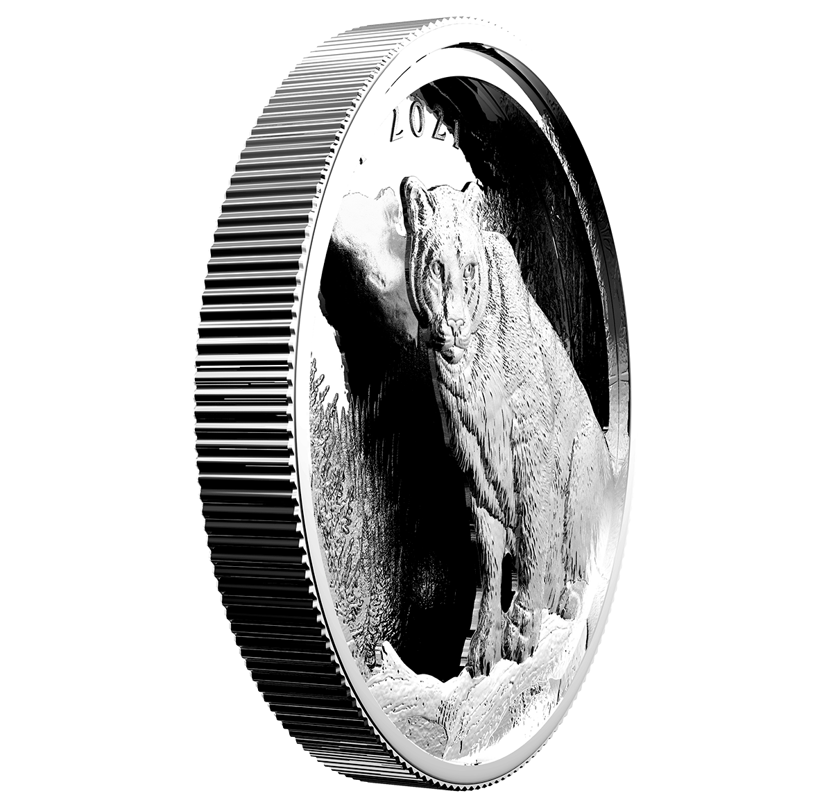 Pure Silver Coin - Multilayered Cougar - Mintage: 1,500 (2021