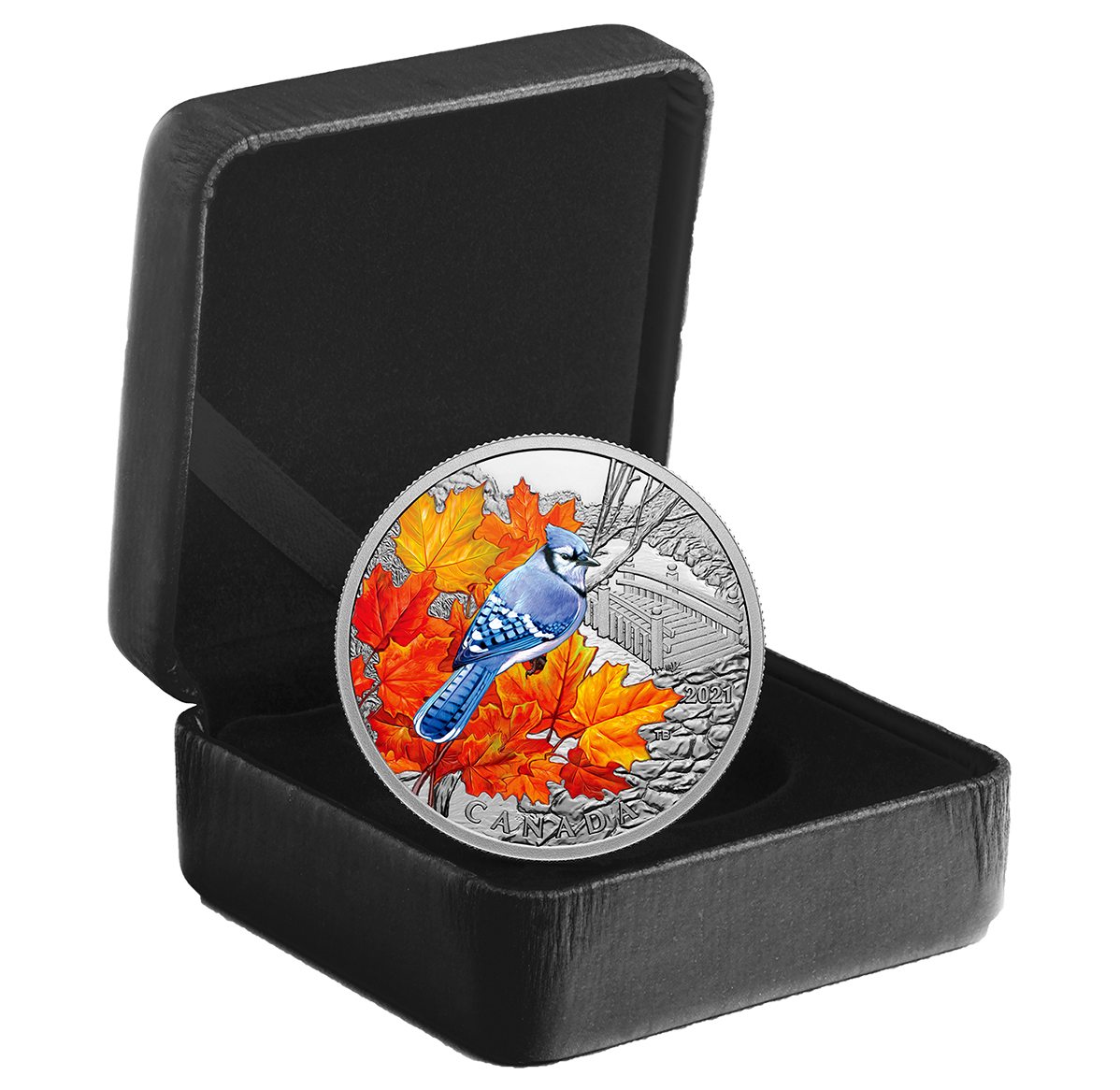1 oz. Pure Silver Coin – Colourful Birds: Blue Jay | The