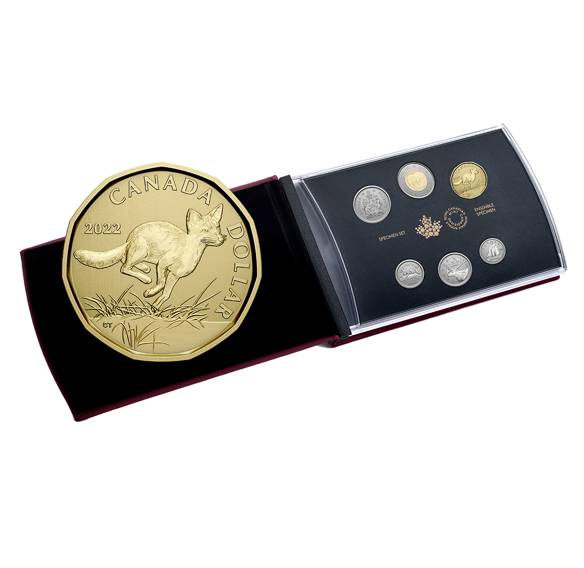 Details about   Great Gift Idea Beautiful Collection Of Canada 17 Coloured Coins. 