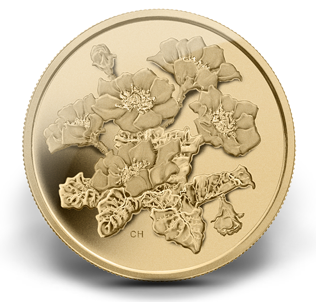99999 Gold Coin - Mountain Avens (2011) | The Royal Canadian Mint