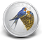 Barn Swallow - Coloured Coin (2011)