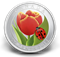 Tulip with Ladybug - Coloured Coin (2011)