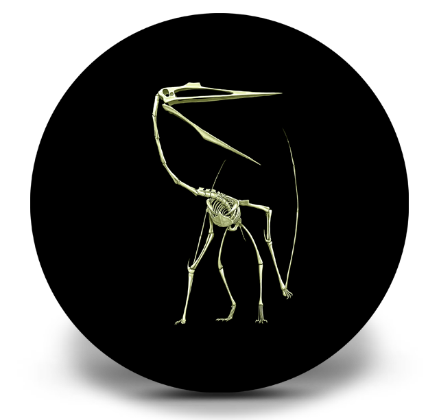 Prehistoric Creature - 25-Cent Coloured Glow-in-the-dark Coin