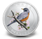 American Robin - Coloured Coin (2013)