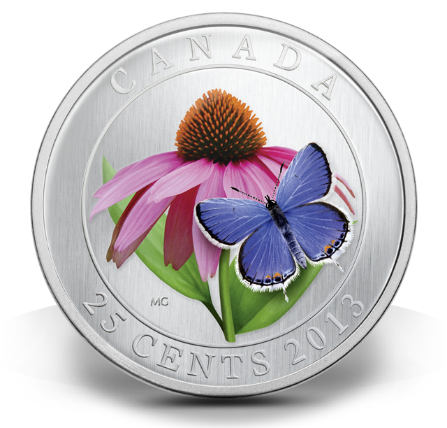 Purple Coneflower and Eastern Tailed Blue - Coloured Coin (2013